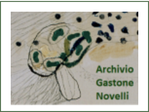 Archivio_Gastone_Novelli